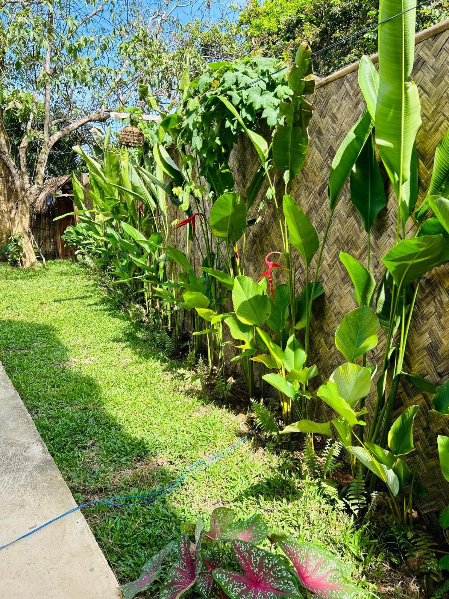Lolas Villa El Nido Eksteriør billede
